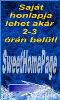 Saj�t honlap �s Web t�rhely egyszer�en!
